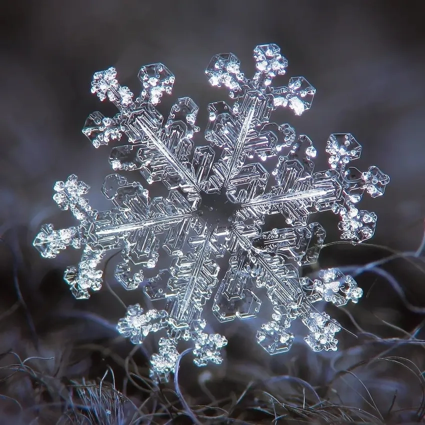 Sắc lạnh mùa đông hiện lên rõ nét trong ảnh bông tuyết HD