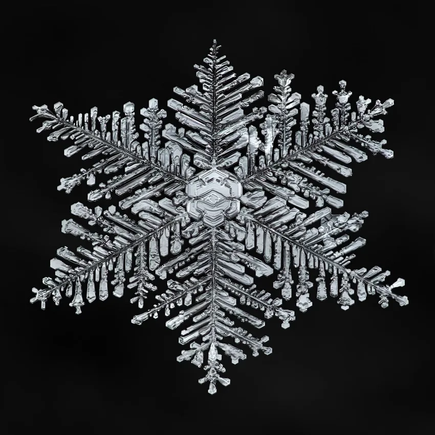 Chi tiết băng sắc nét nổi bật trong ảnh bông tuyết nền đen