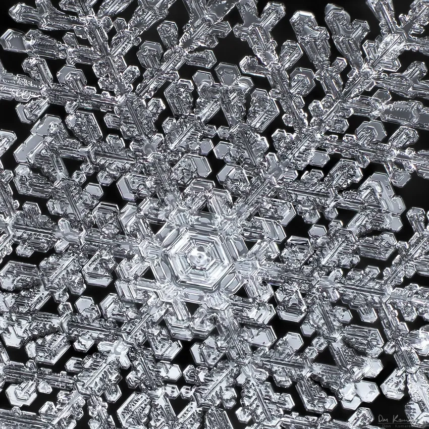 Khung cảnh mùa đông xuất sắc trong ảnh bông tuyết đẹp nhất