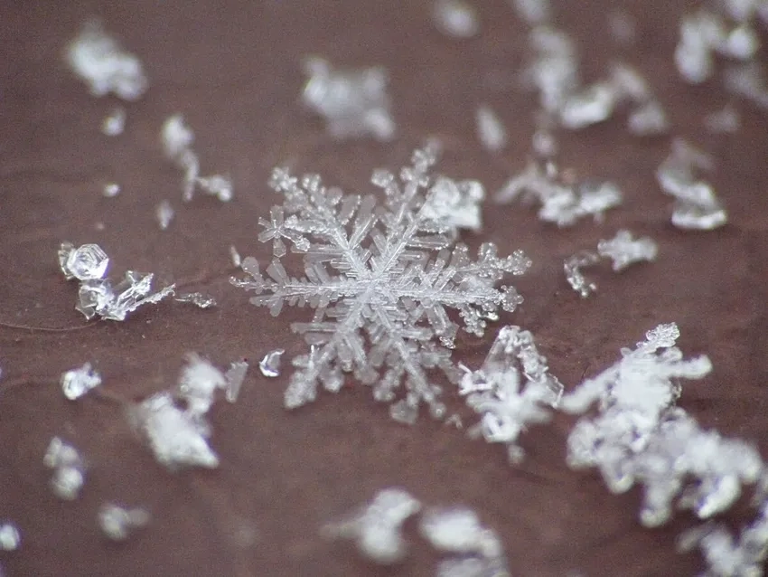 Cảm xúc mùa đông dạt dào qua ảnh tuyết rơi lãng mạn