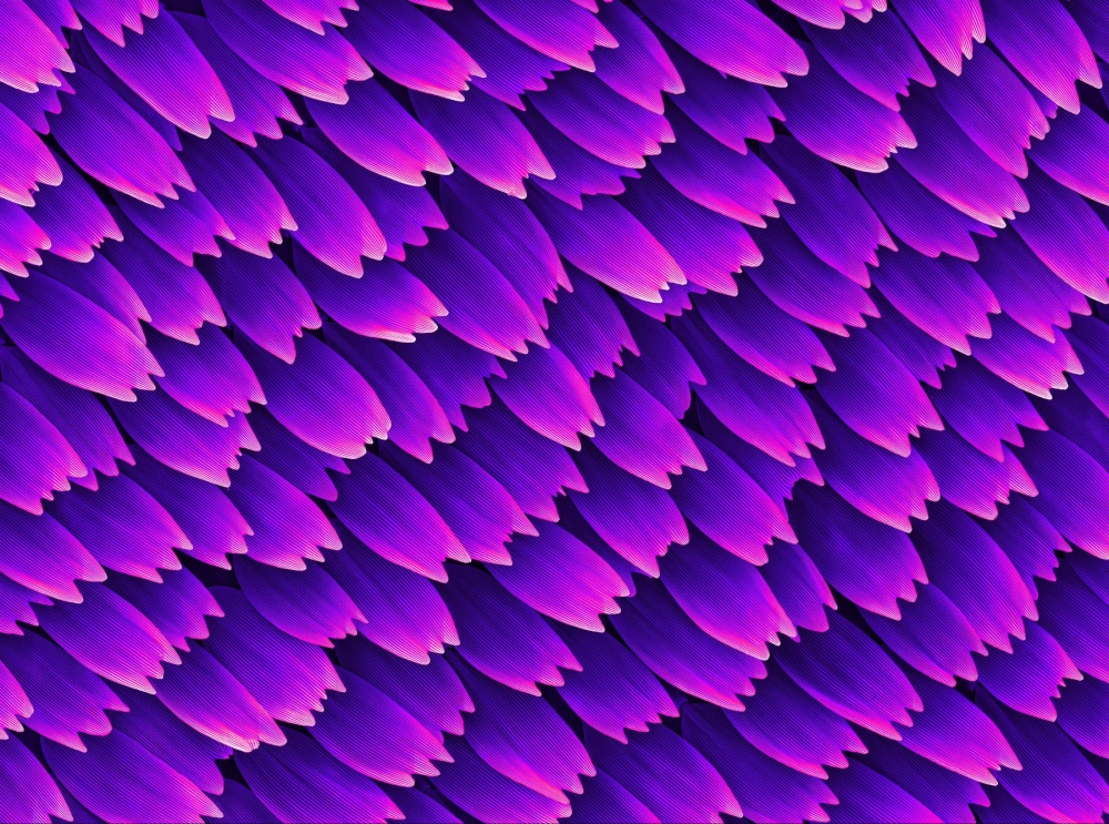 Cận cảnh vòi hút mật của bướm đang lấy mật hoa