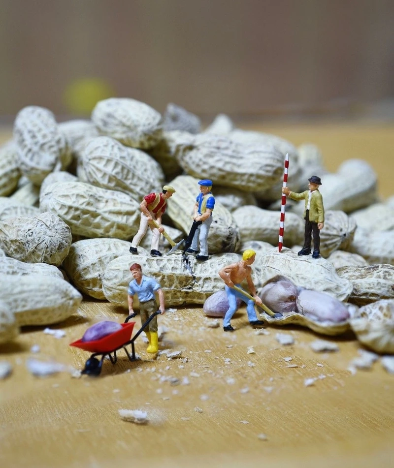 Cảnh sinh hoạt hàng ngày tinh tế cuộc sống người tí hon cảnh sinh hoạt