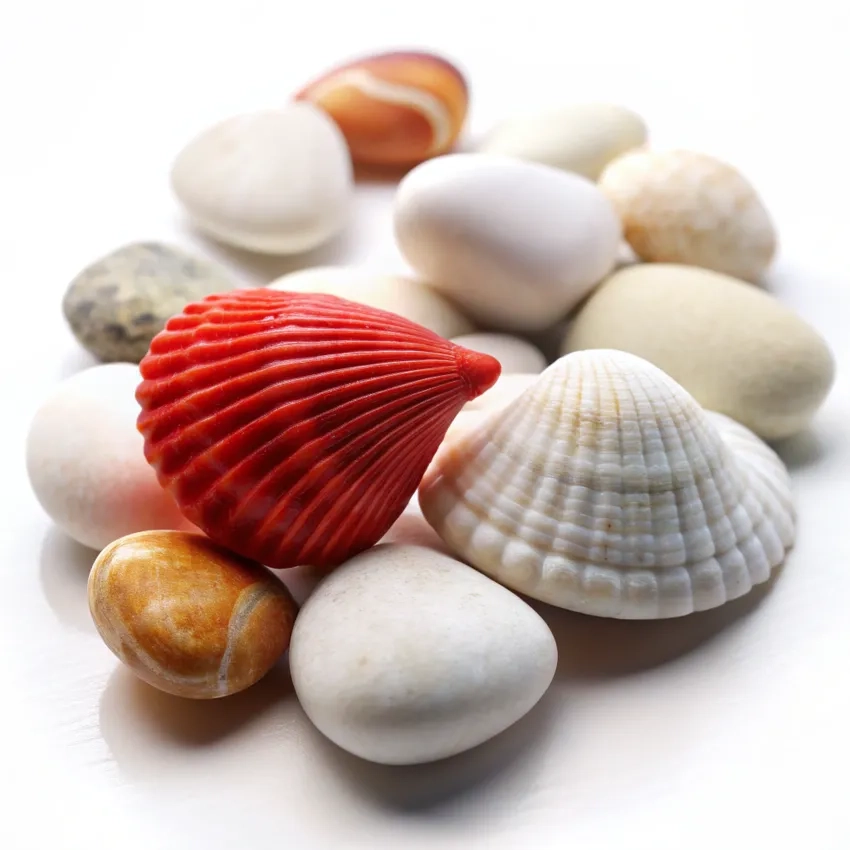 Mang thiên nhiên gần gũi vào nhà với sỏi đá tự nhiên mini