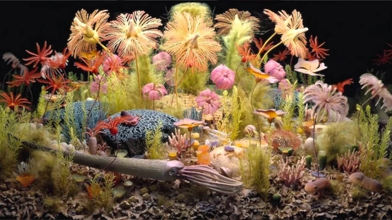 Thu nhỏ đại dương với diorama dưới nước đại dương mini