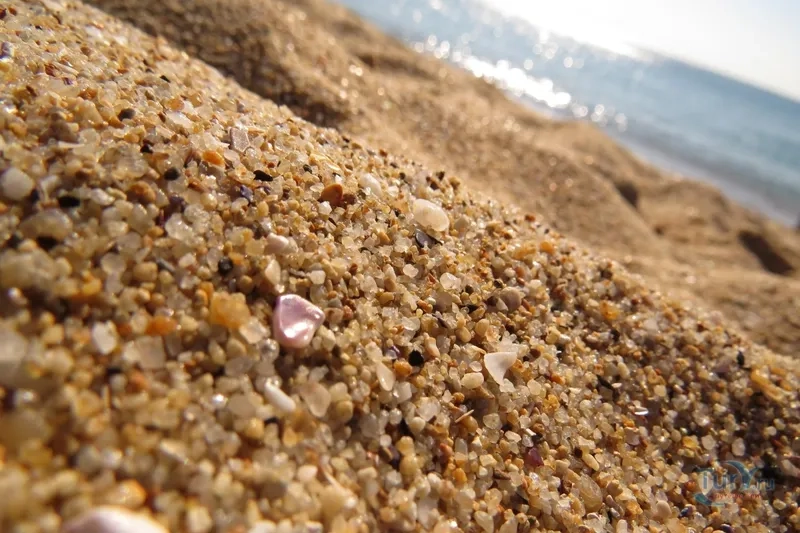 Lựa chọn kính hiển vi xem cát