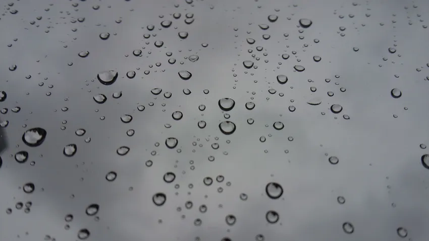 Ảnh macro drops nước mưa phản chiếu ánh sáng tự nhiên