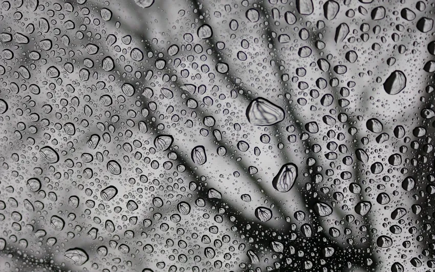 Ảnh cận cảnh mưa rơi bắt nét từng giọt lung linh