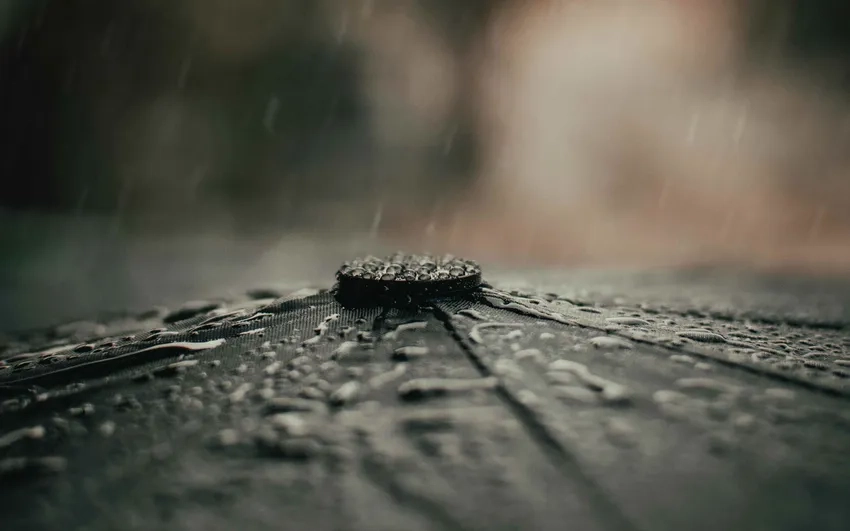 Ý tưởng chụp macro với mưa độc đáo cho nhiếp ảnh gia