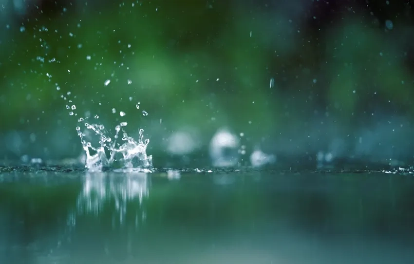 Khám phá texture giọt nước macro đầy chi tiết sắc nét