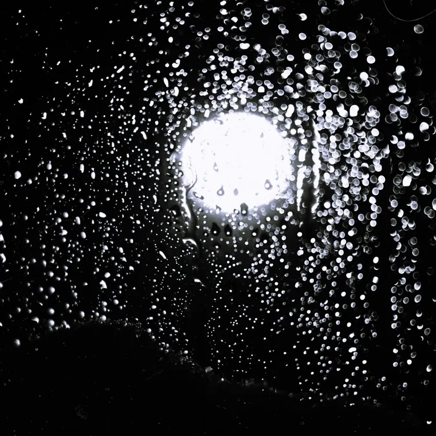 Ảnh mưa macro đen trắng nghệ thuật và cuốn hút