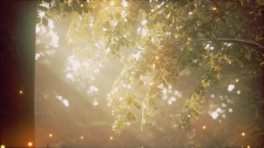 Tận hưởng ánh sáng chiều xuyên lá macro ấm áp