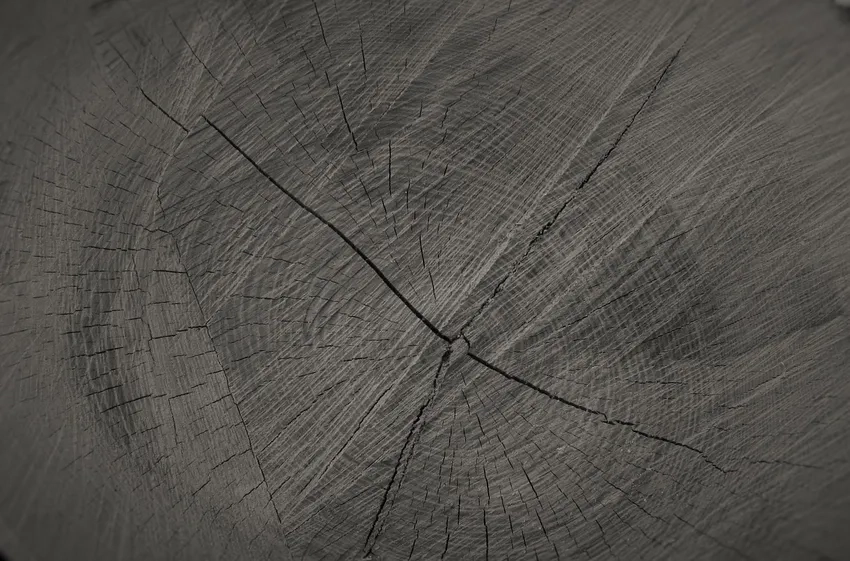 Ảnh gỗ nứt nẻ phô diễn vẻ tự nhiên mạnh mẽ
