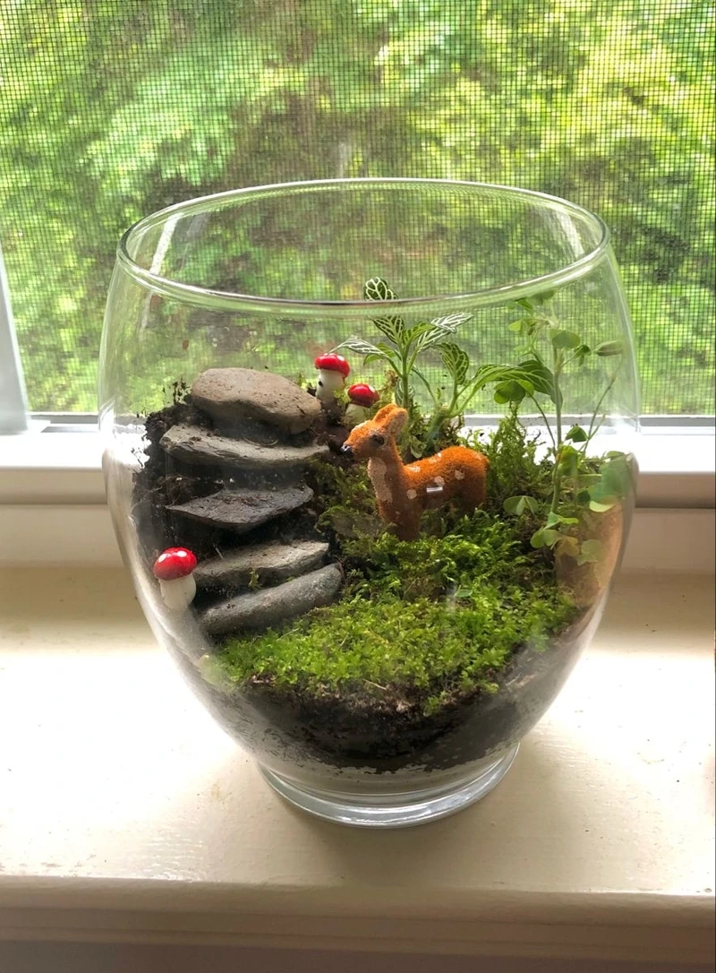 Cây xanh mướt mắt nhờ tiểu cảnh trong hũ thủy tinh cây xanh