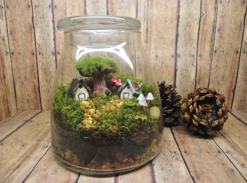 Cảnh nhỏ tinh tế trong tiểu cảnh trong hũ thủy tinh cảnh nhỏ