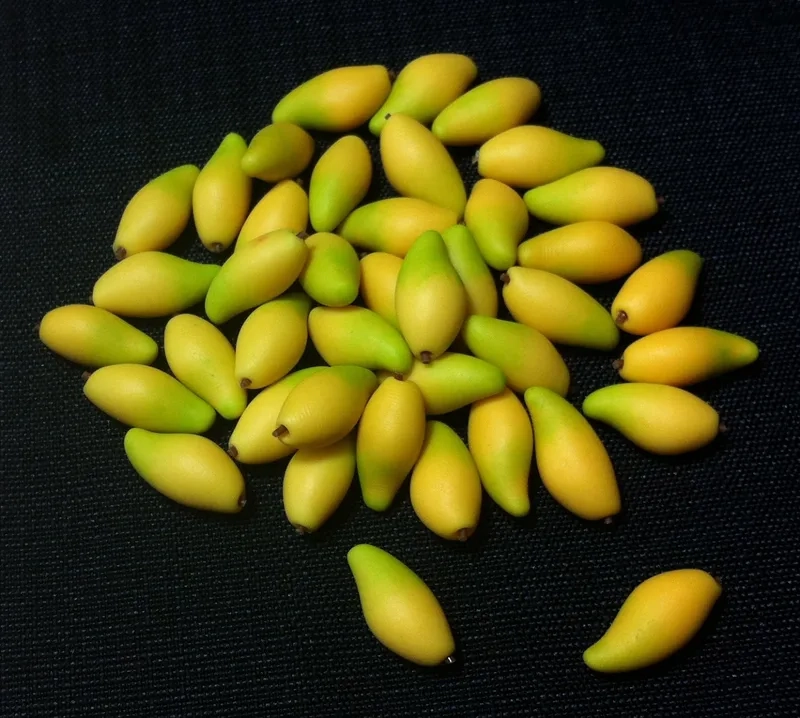 Sáng tạo tinh tế với trái cây đất sét handmade