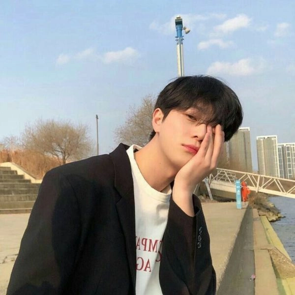 Chân dung tác giả Trần Huy Hoàng