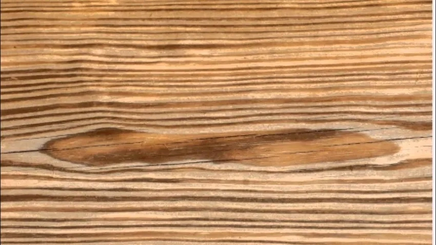 Hình ảnh vân gỗ chất lượng cao cho thiết kế chuyên nghiệp