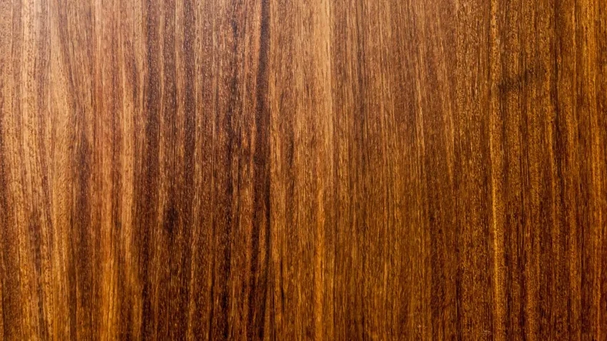 Macro chụp vân gỗ chi tiết sắc nét và sống động