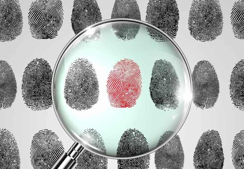 Khám phá vân tay người soi kính hiển vi cực nét