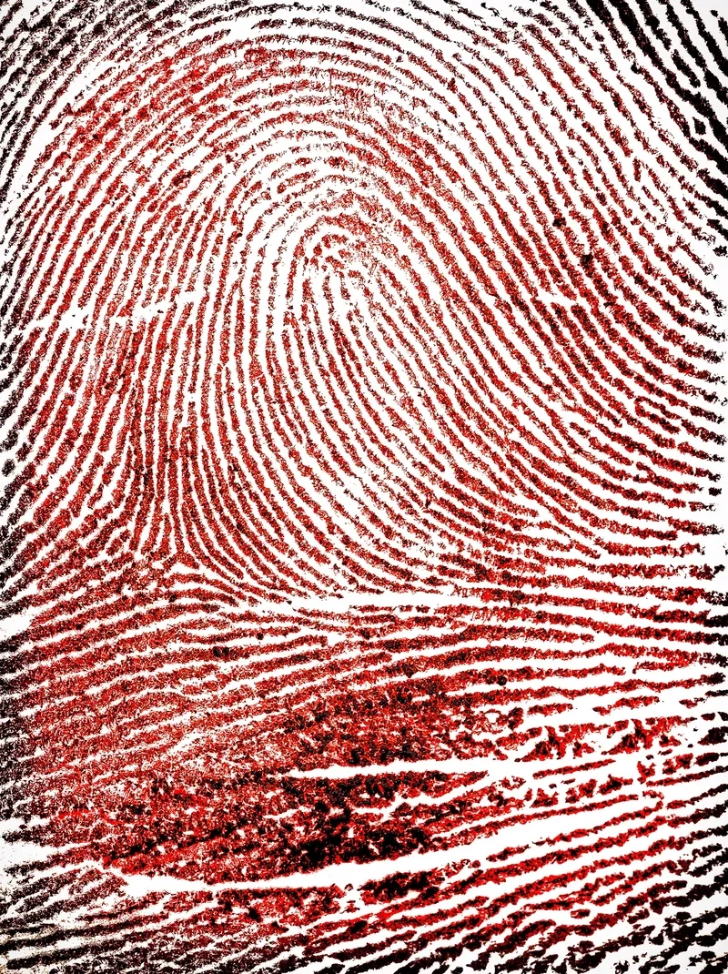 Vân tay phóng to bao nhiêu lần thì rõ nhất