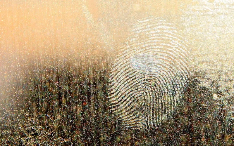 Quan sát hình ảnh đường vân tay độc nhất vô nhị