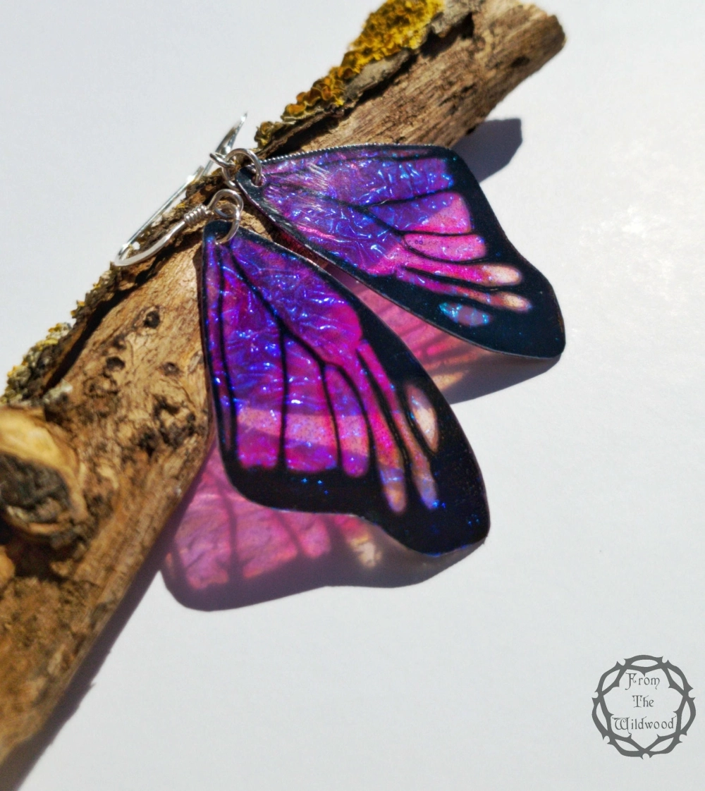 Cận cảnh cánh bướm trong suốt nhìn xuyên thấu các gân cánh