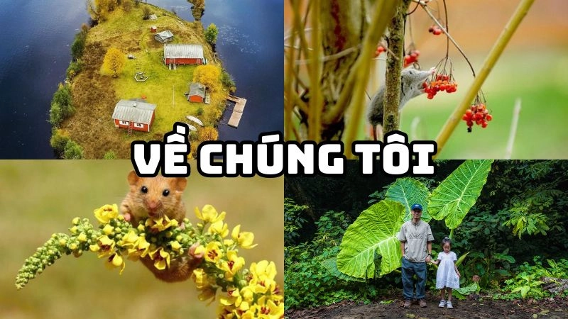 Hệ giá trị cốt lõi của chúng tôi